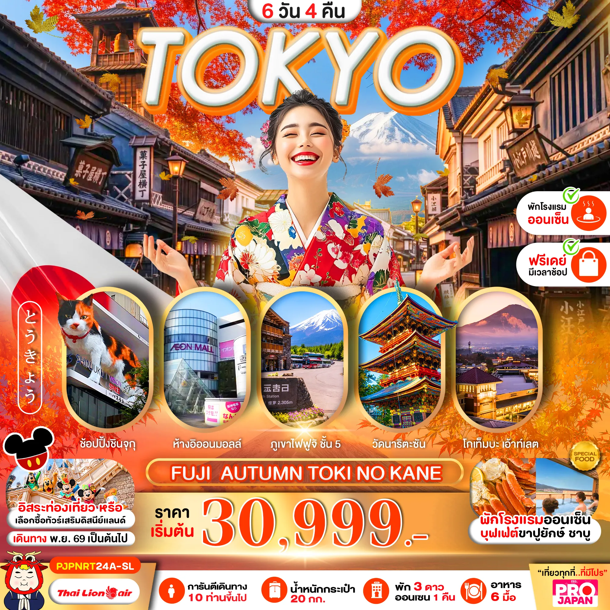ทัวร์ญี่ปุ่น 6 วัน 4 คืน-TOKYO FUJI AUTUMN TOKI NO KANE FREE DAY 6D4N