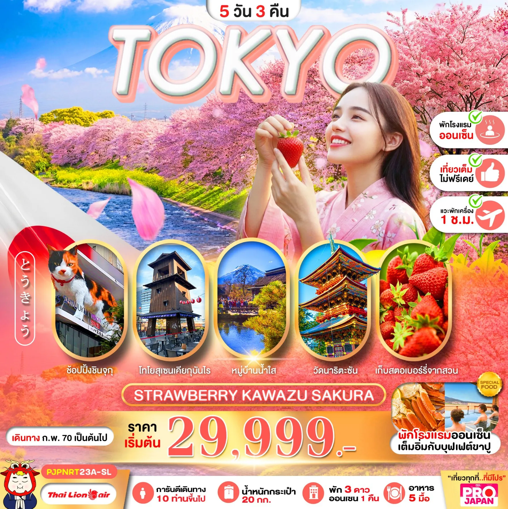 Japan Tour 5 Day 3 Night-PRO TOKYO STRAWBERRY KAWAZU SAKURA 5D3N
