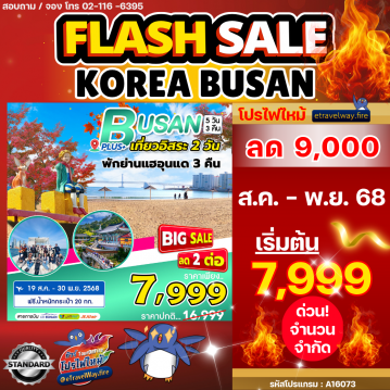 ทัวร์ไฟไหม้เกาหลี