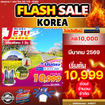 ทัวร์เกาหลีใต้ราคาถูกไฟไหม้