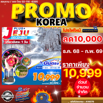 ทัวร์เกาหลีใต้เดือนธันวาคมไฟไหม้
