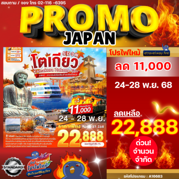 ทัวร์ไฟไหม้ญี่ปุ่น