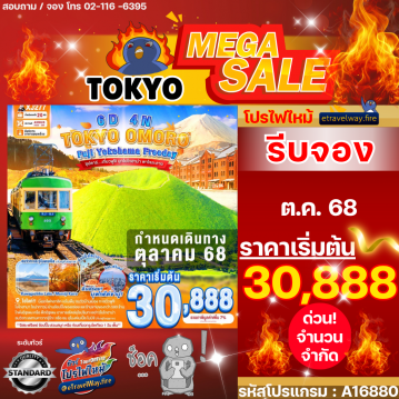 ทัวร์ไฟไหม้ญี่ปุ่น