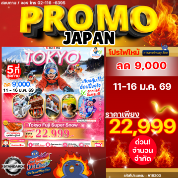 ทัวร์ญี่ปุ่นไฟไหม้