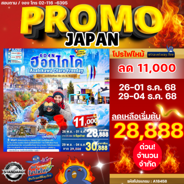 ทัวร์ไฟไหม้ญี่ปุ่น