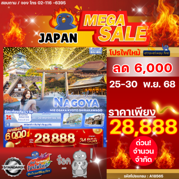 ทัวร์ไฟไหม้ญี่ปุ่น