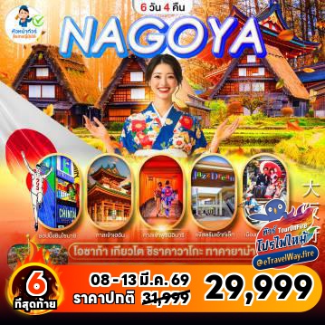 ทัวร์ไฟไหม้ญี่ปุ่น