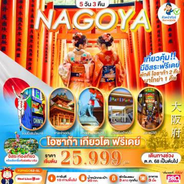 ทัวร์ไฟไหม้ญี่ปุ่น