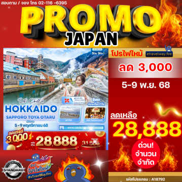 ทัวร์ไฟไหม้ญี่ปุ่น