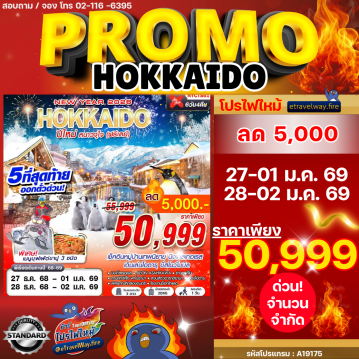 ทัวร์ญี่ปุ่นวันคริสต์มาสไฟไหม้