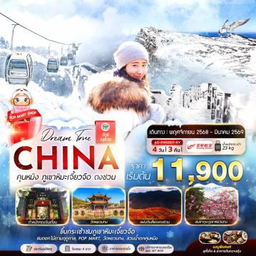 ทัวร์จีนไฟไหม้