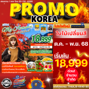 ทัวร์ไฟไหม้เกาหลี