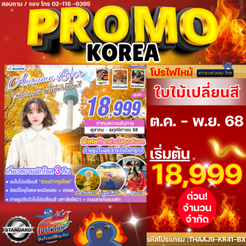 ทัวร์ไฟไหม้เกาหลี