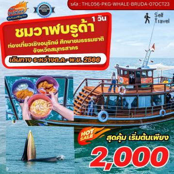 ทัวร์ไฟไหม้ไทย